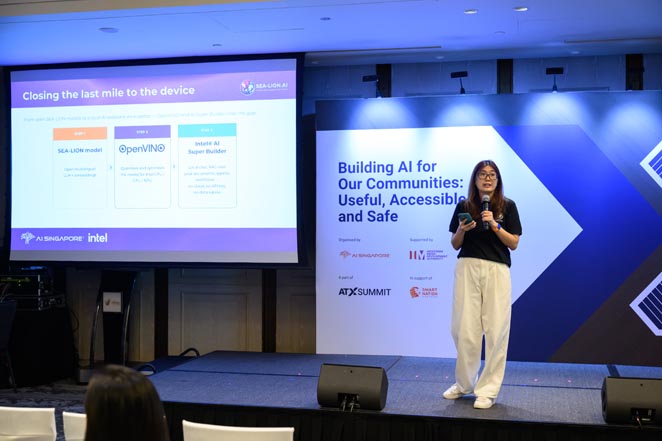 Building AI for Our Communities: Useful, Accessible, and Safe